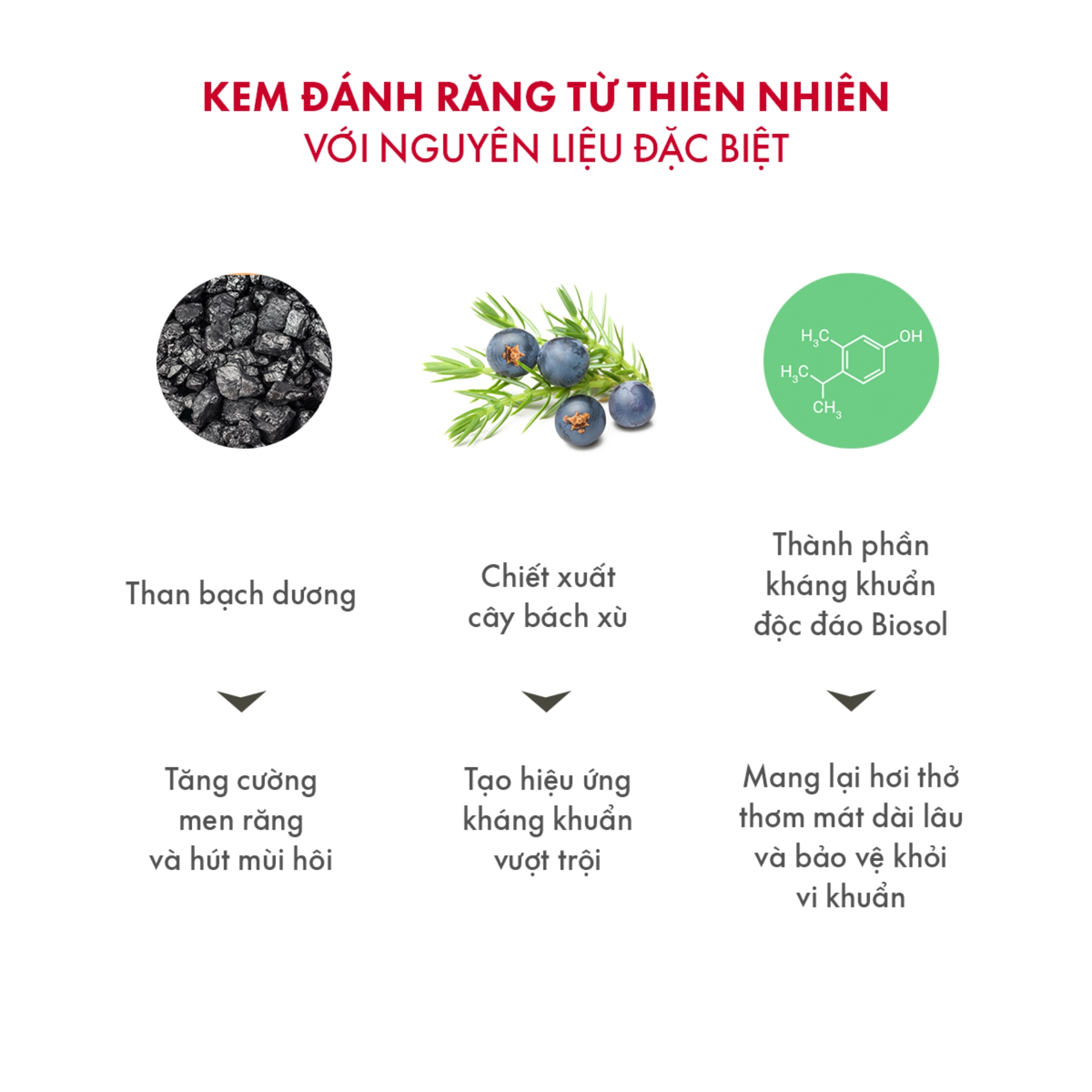 Kem Đánh Răng Làm Trắng Răng SPLAT Blackwood Special Không Chứa Florua Thân Thiện Với Cả Người Ăn Chay Dung Tích 75ml