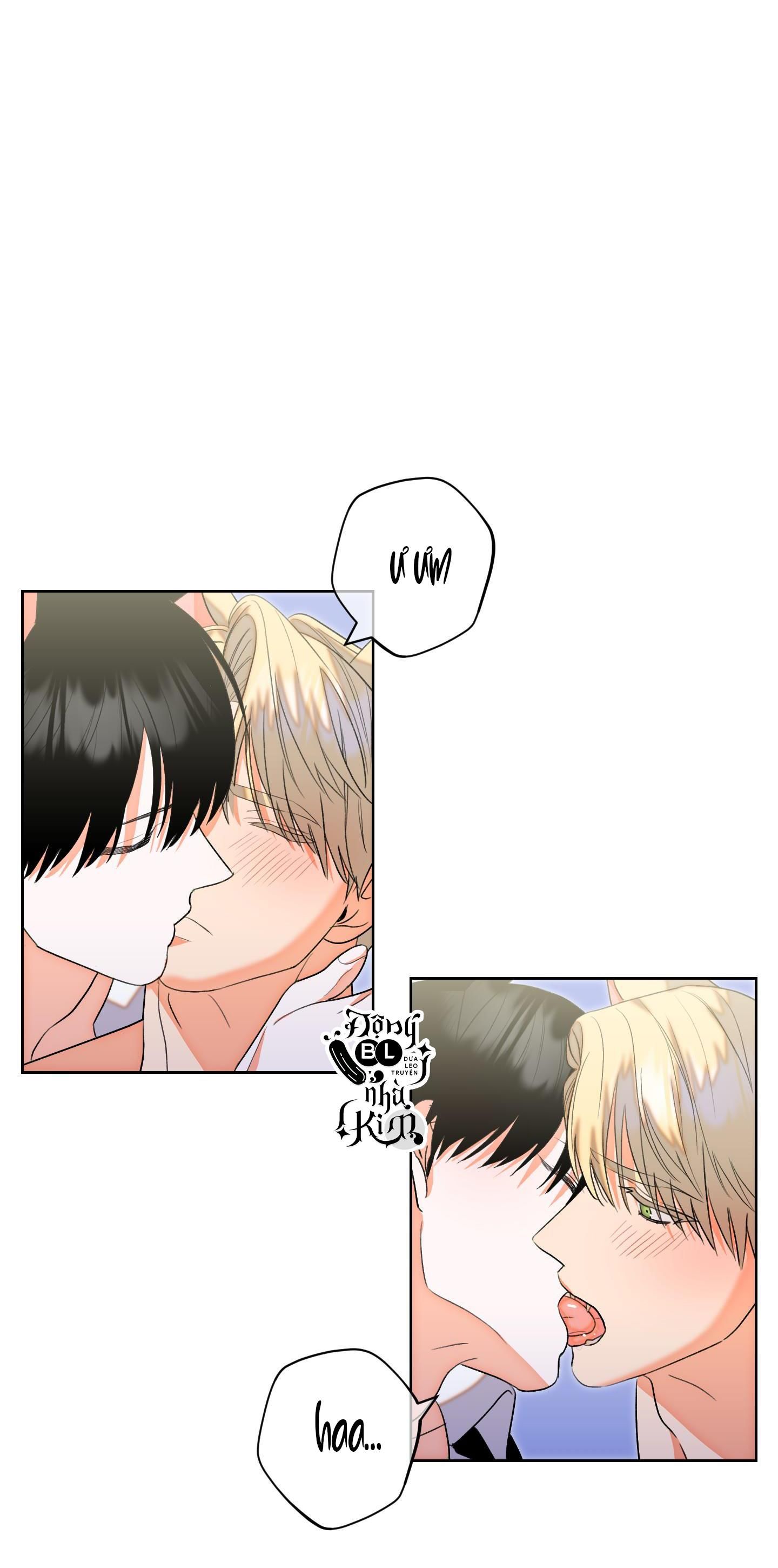 bl cổ trang - âu cổ ngắn nhà kim chapter 13.2 47