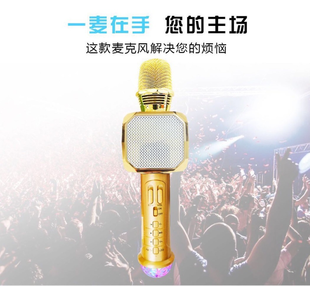 Micro karaoke Bluetooth  PF166 SD10  3 trong 1