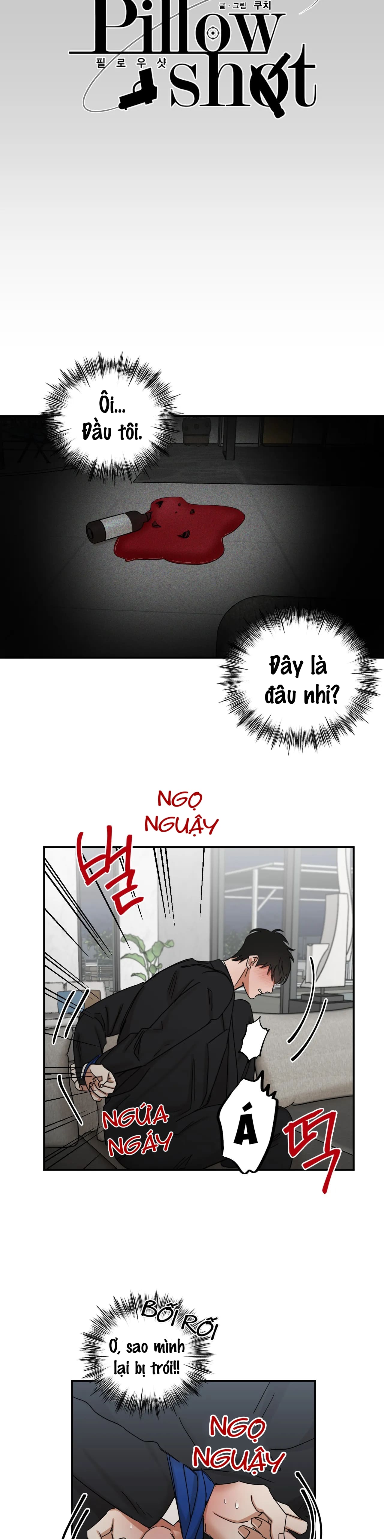 pillow shot chapter 2 11