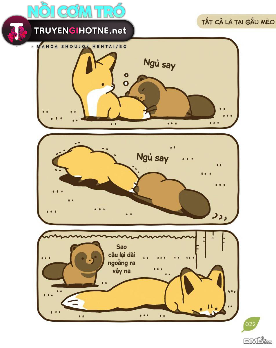 cáo và gấu mèo chapter 9 21
