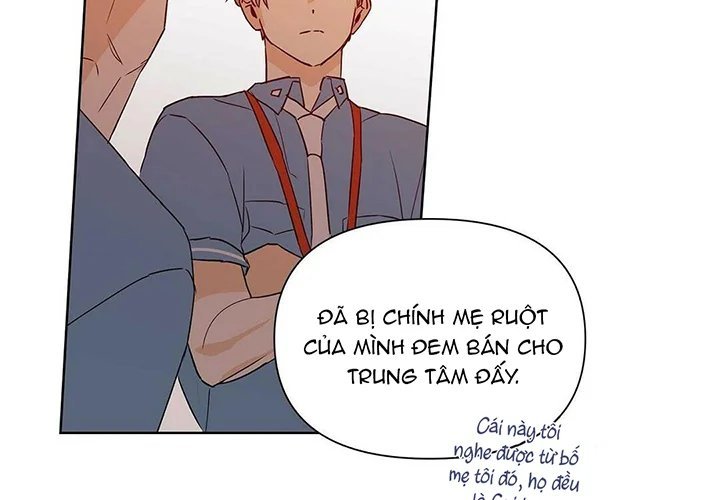 guide cấp b chapter 30 116