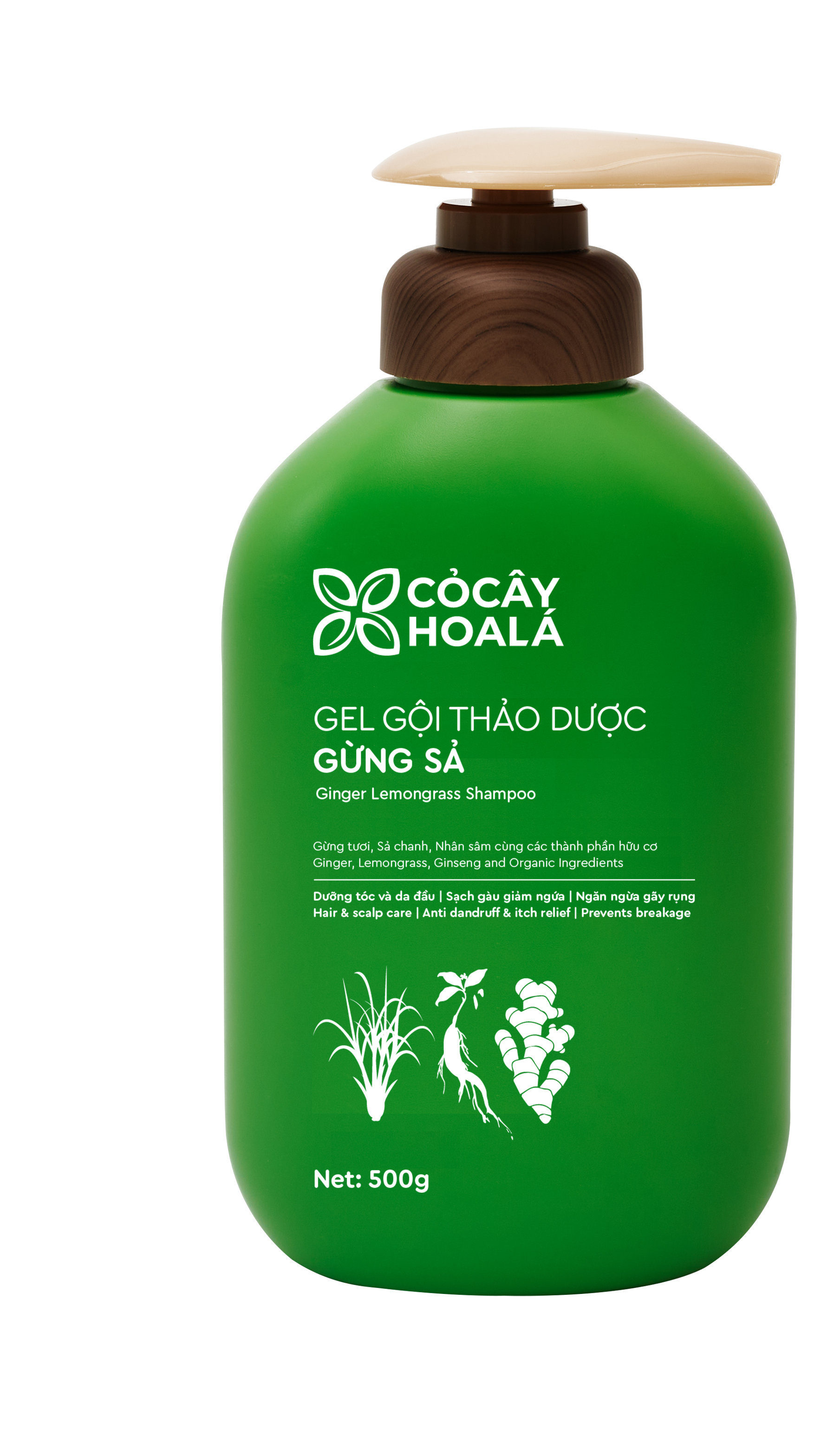 Cocayhoala Dầu gội thảo dược Gừng Sả Cỏ Cây Hoa Lá 500g