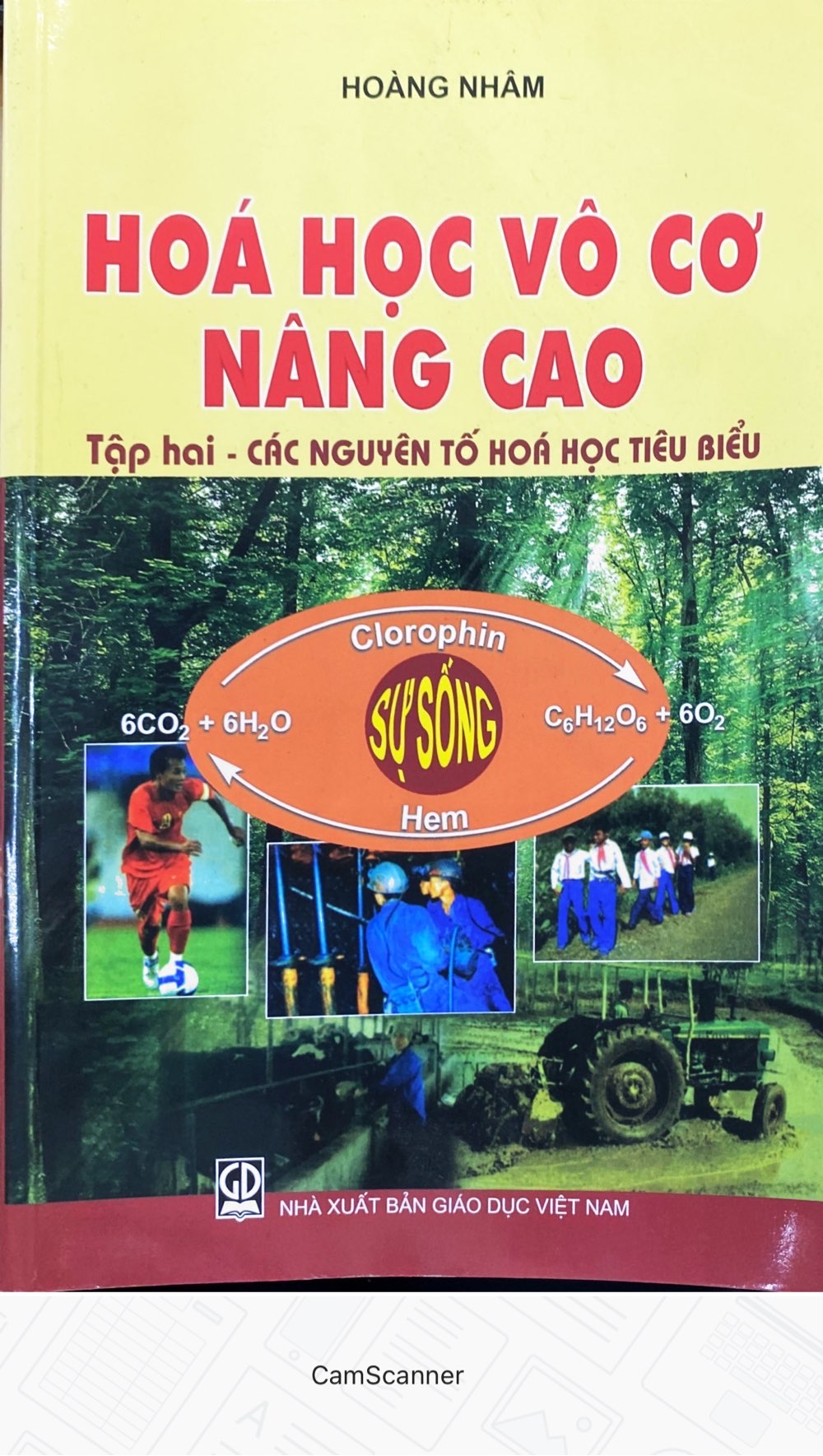 Hóa Học Vô Cơ Nâng Cao Tập 2 - Các Nguyên Tố Hóa Học Tiêu Biểu