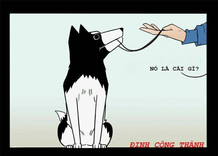 những sự kiện kỳ dị chapter 22 100