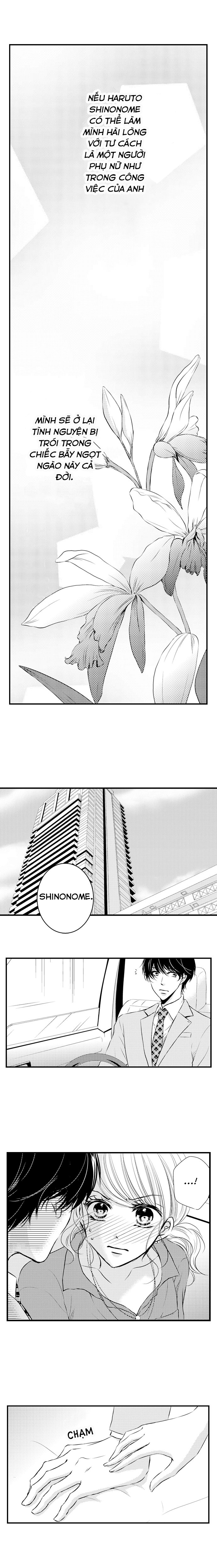 sự cao trào hoàn hảo chapter 15 6