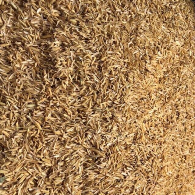 1kg vỏ trấu khô giá thể ươm cây, trồng cây