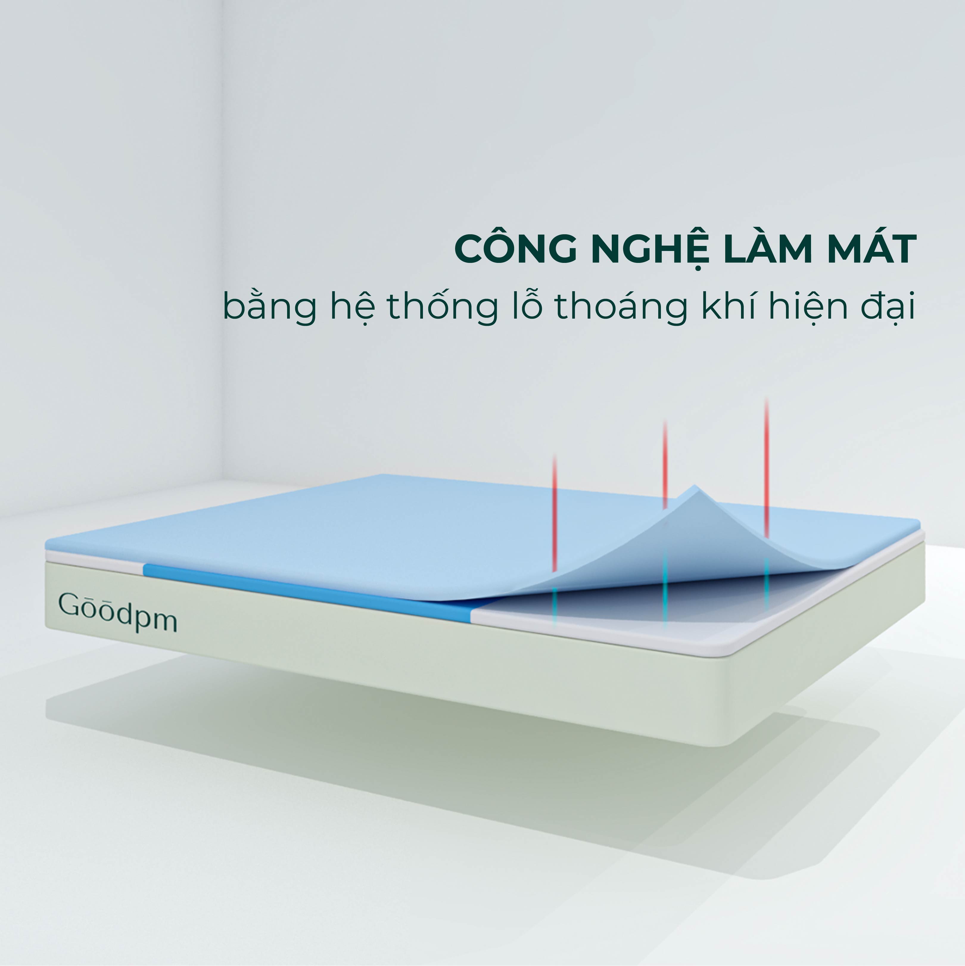 Nệm Foam Cao cấp Goodpm 25cm (Trắng -Xám)