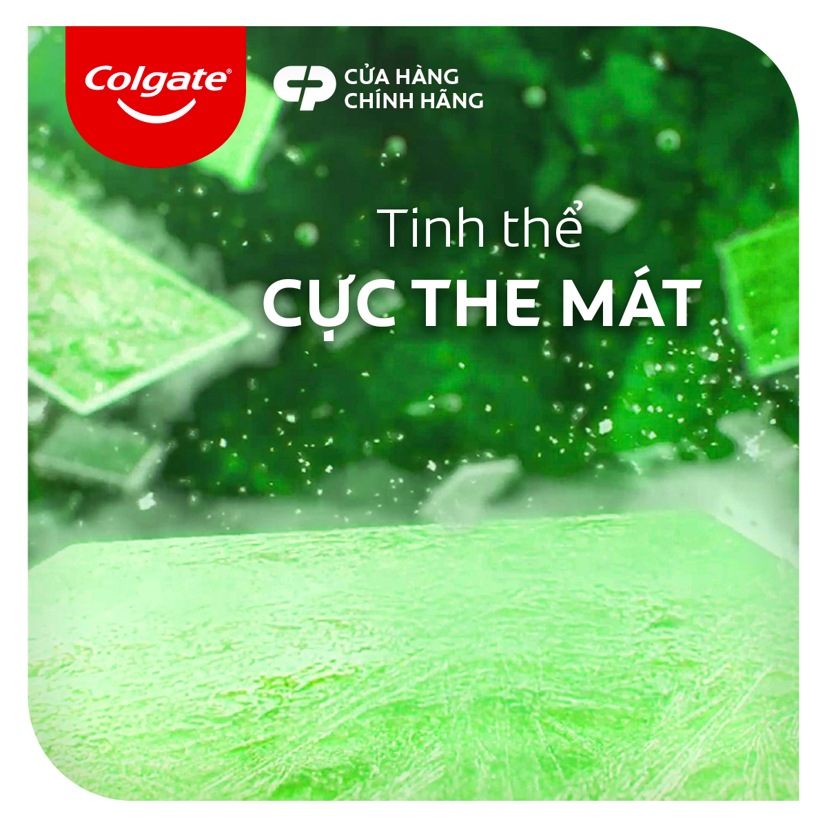 Bộ 4 Kem đánh răng Colgate Trà Xanh the mát Maxfresh 230g/tuýp tặng bàn chải đánh răng lông tơ cao cấp