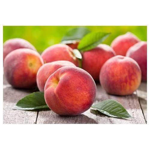 CÂY GIỐNG ĐÀO BÁT TIÊN SIÊU QUẢ SIÊU NĂNG SUẤT- CAM KÊT GIỐNG CHUẨN F1 - CGDBTSQSNF1