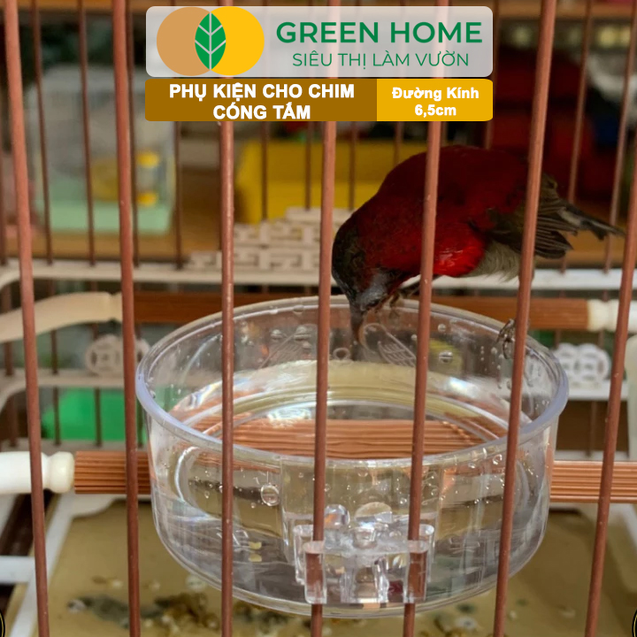 Cóng Tắm Cho Chim GreenHome, Nhựa Mica, Cho Chim Hút Mật, Khuyên, Chòe Đất, Yến,.. Siêu Bền, Nhỏ Gọn