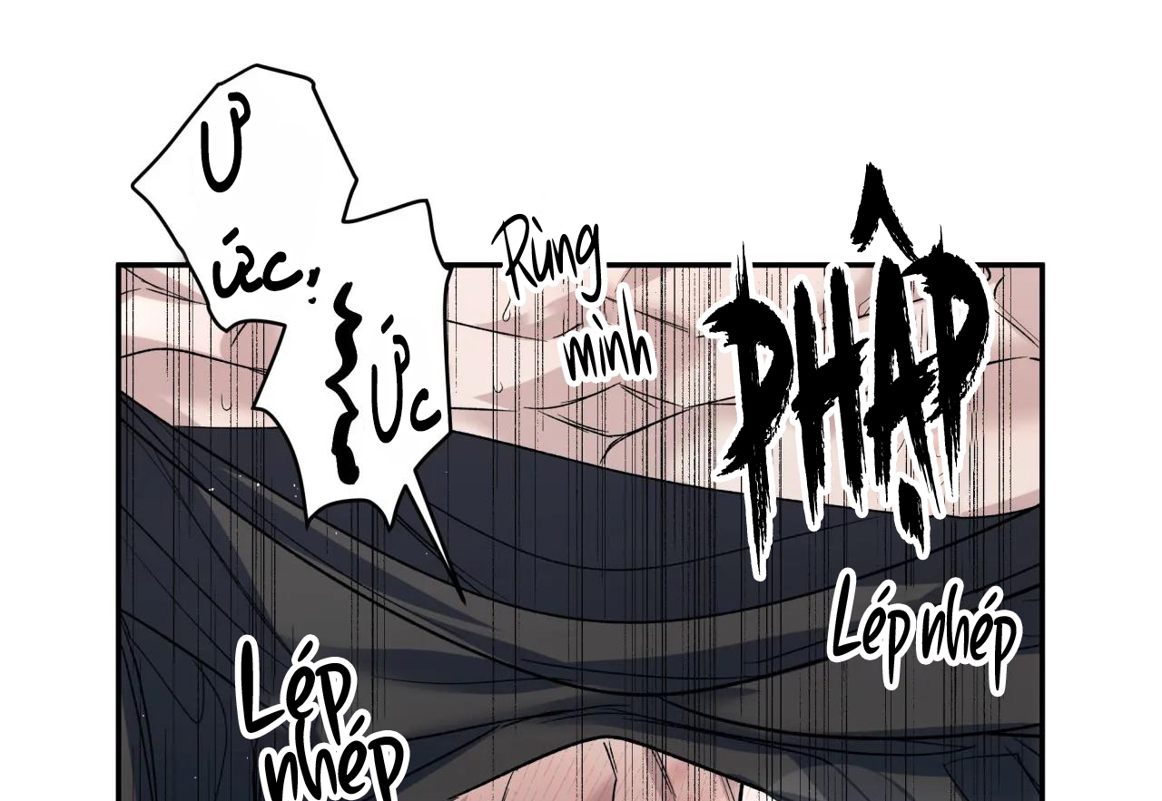 ám ảnh pheromone chapter 38 28