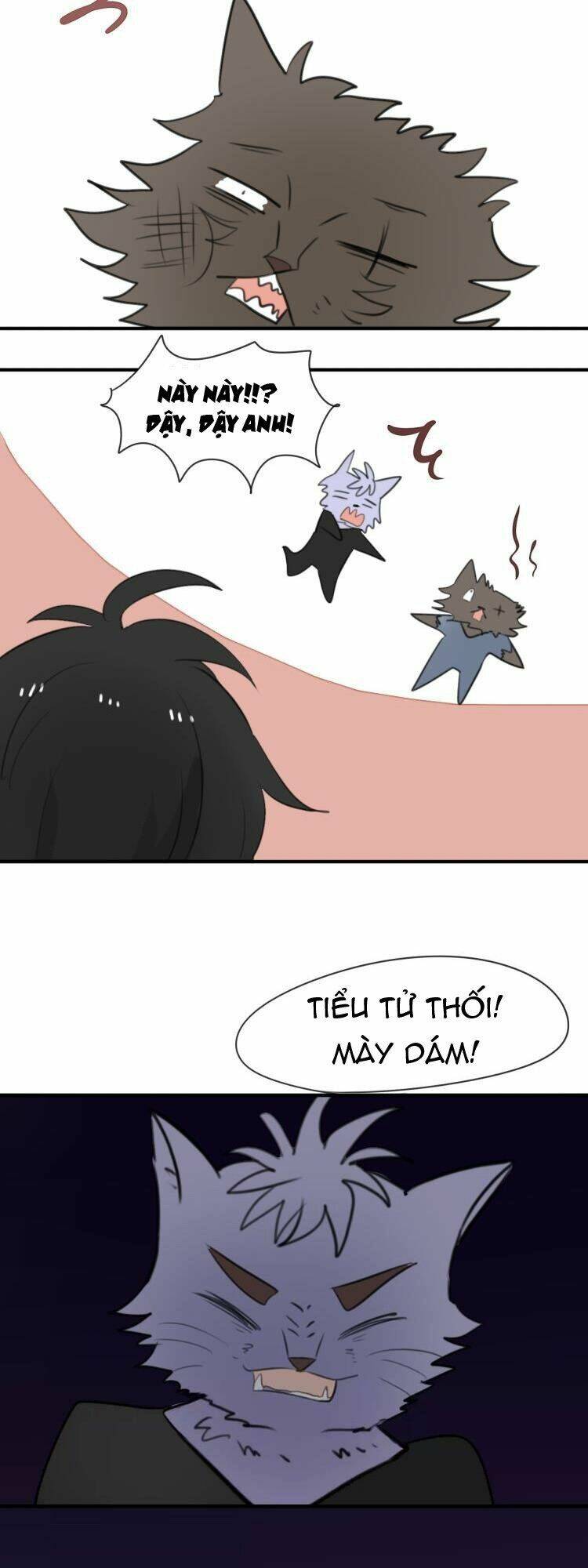 tiểu miêu và hắc diệu thạch chapter 8 16