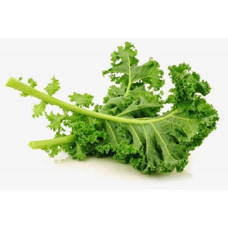 20 Hạt Giống Cải Xoăn Kale - Nhập Khẩu Mỹ