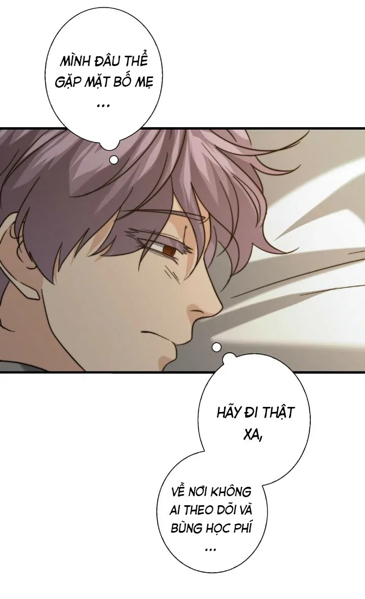 bí mật của omega k chapter 19 59