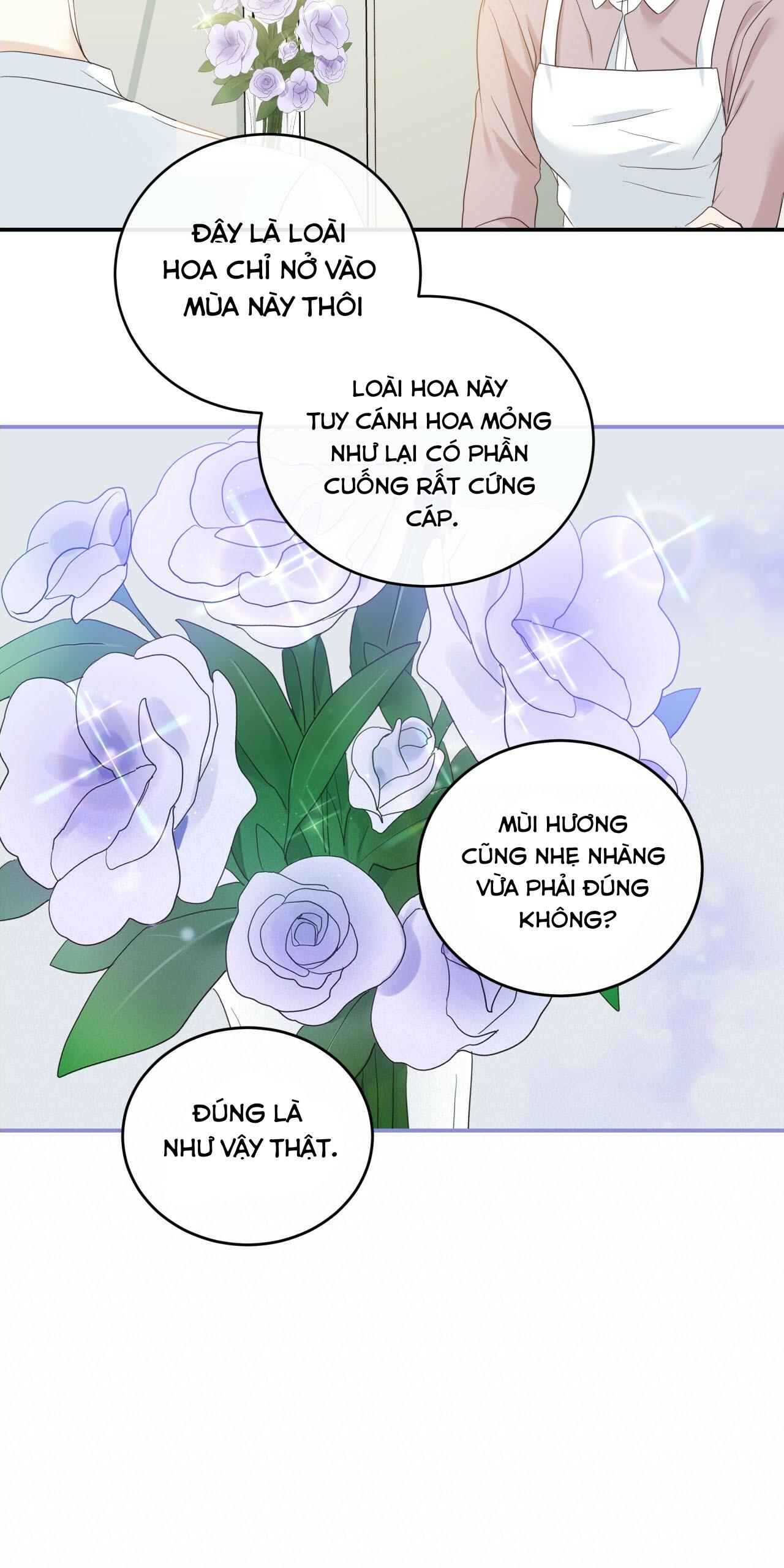 vị ngọt không đường (sweet not sugar) chapter 5 40