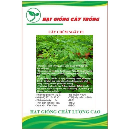 Hạt giống cây chùm ngây F1 CT20 - Gói 10 hạt