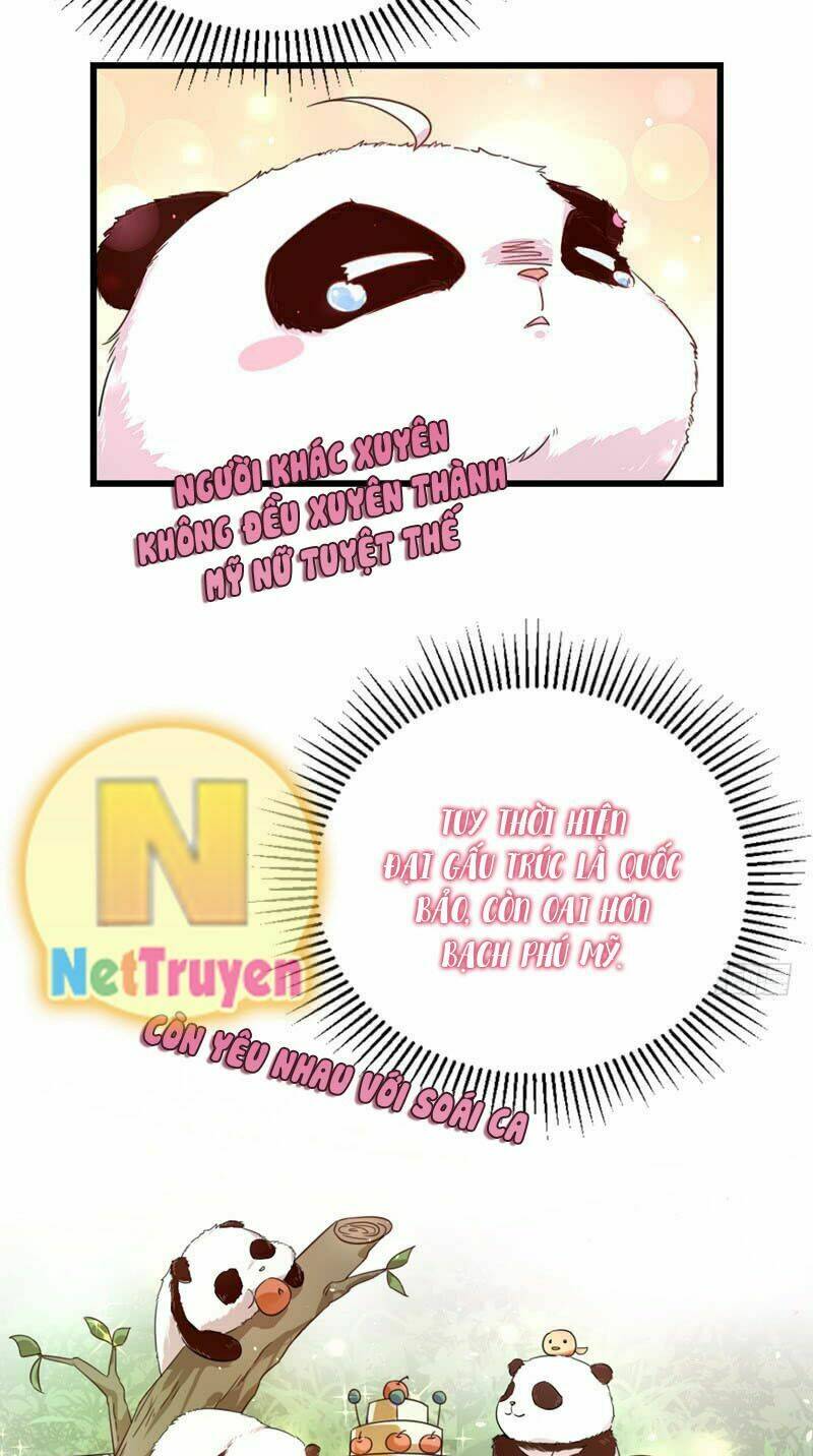 thiên thần gấu trúc muốn được ôm chapter 4 6