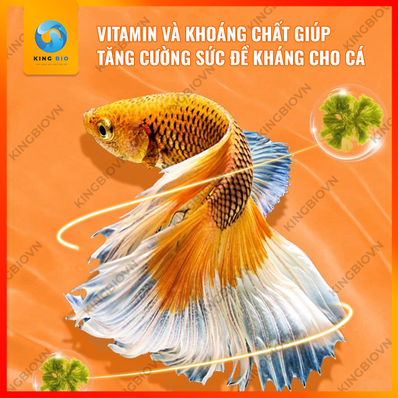 Thức ăn cân bằng dinh dưỡng cho cá betta và các loại cá nhỏ khác - cám Yee Fish Food