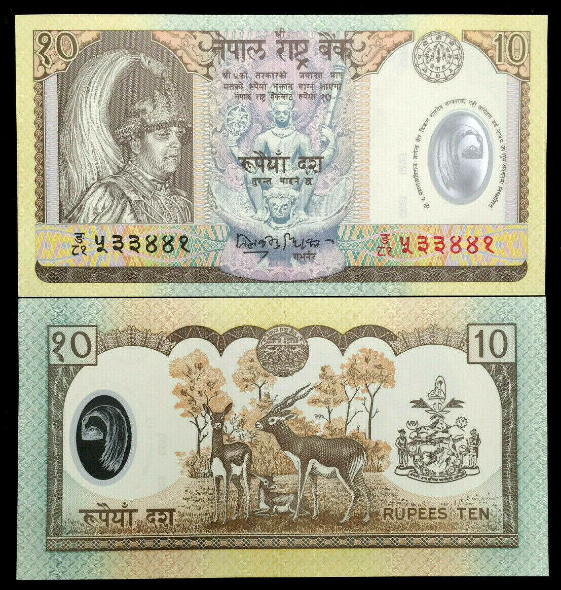 Tiền polymer châu Á, 10 rupees Nepal sưu tầm