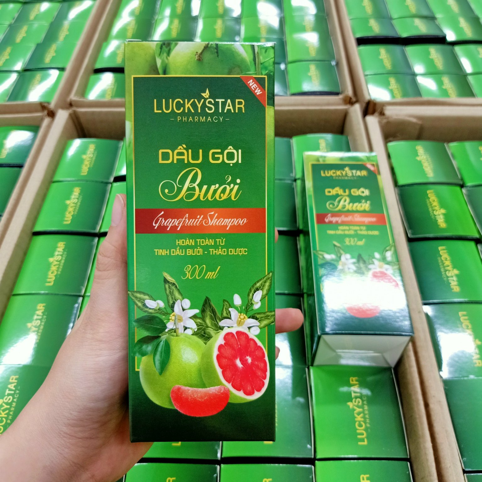 Dầu Gội Tinh Chất Bưởi Lucky Star - Chai*300ml