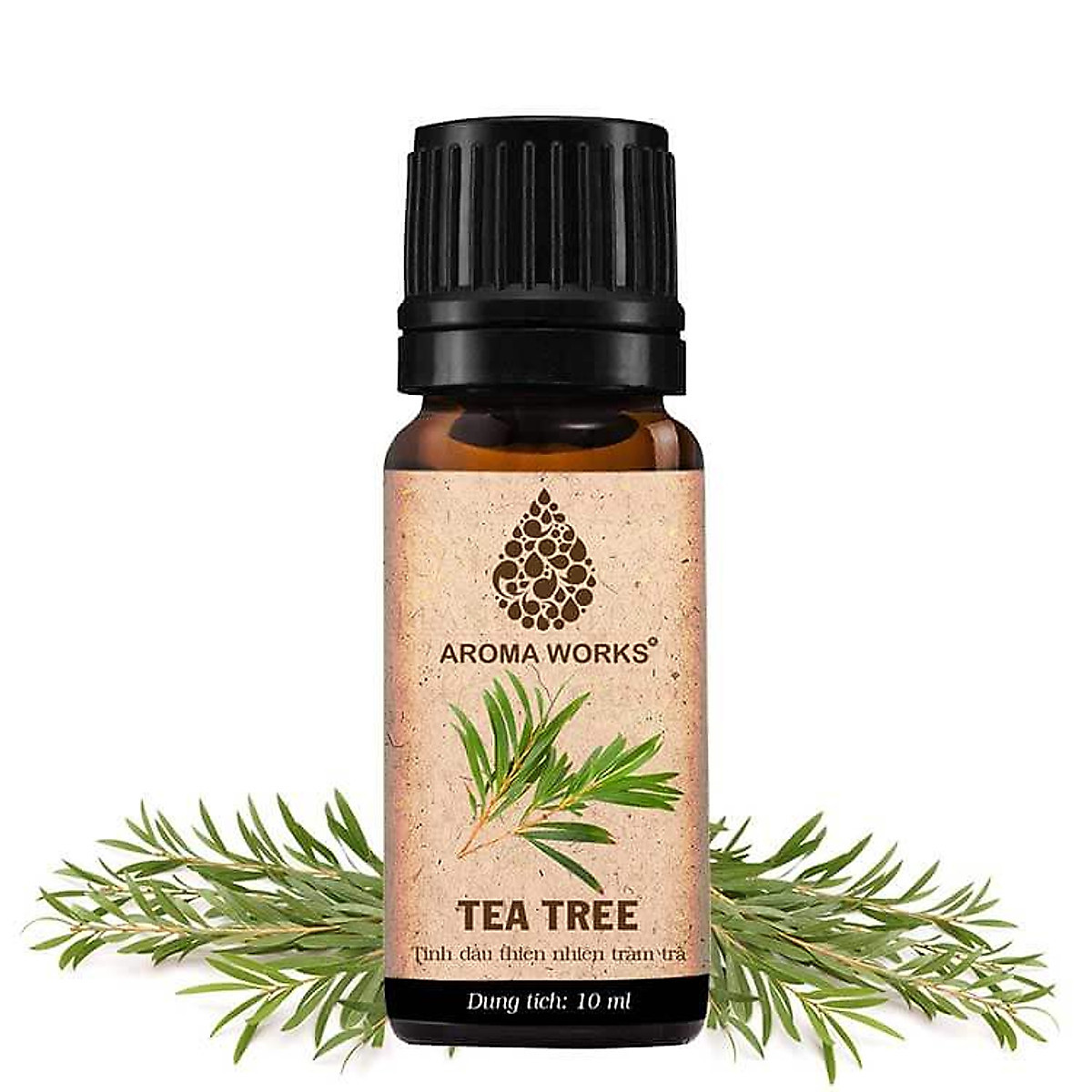 Hình ảnh Tinh Dầu Tràm Trà Aroma Works Essential Oils Tea Tree