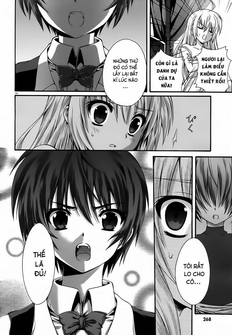 seikoku no dragonar chapter 11 13