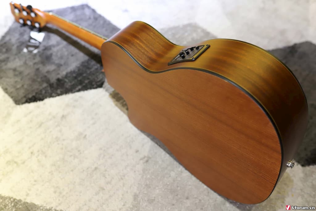 Đàn Guitar Acoustic CHARD F4130C