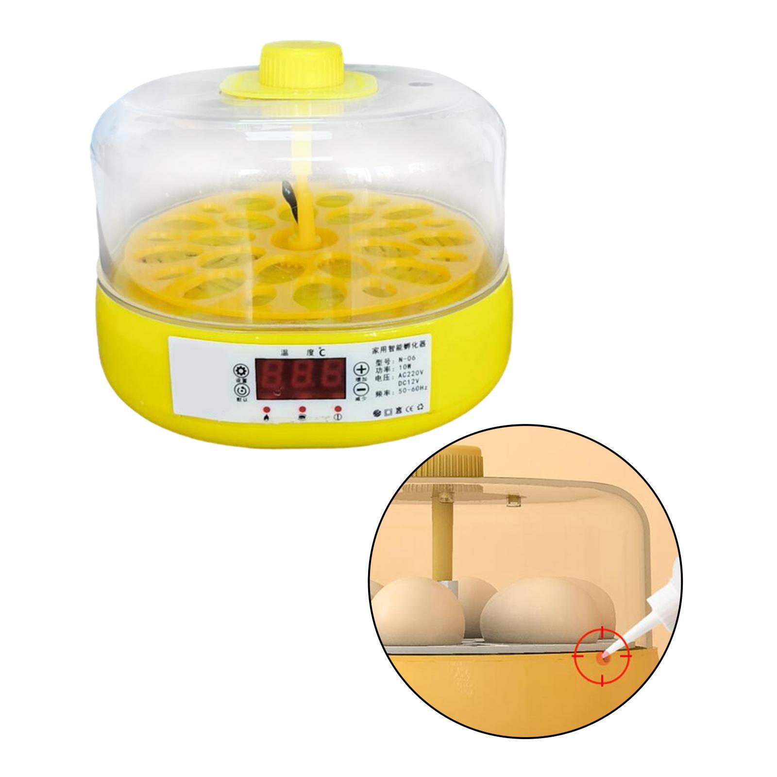 Egg Incubator for Birds Automatic Household Temperature Control Bird Hatcher