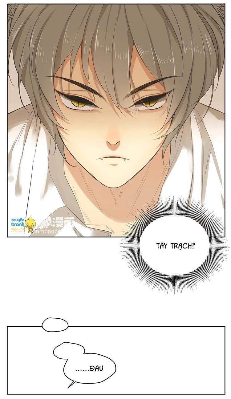 cứu mạng ! loài mèo thống trị thế giới rồi ! chapter 16 9