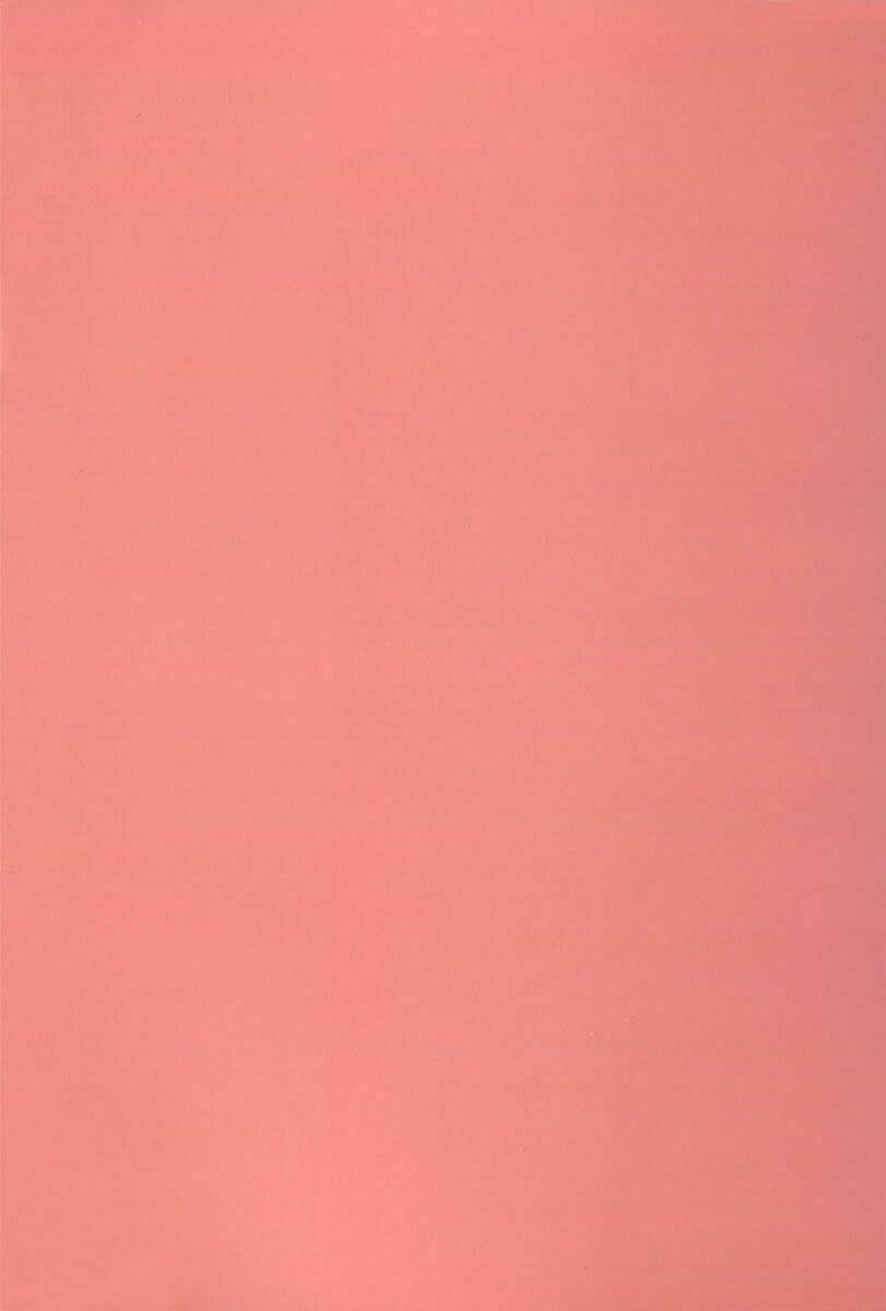 shigatsu wa kimi no uso – coda chapter 5 4