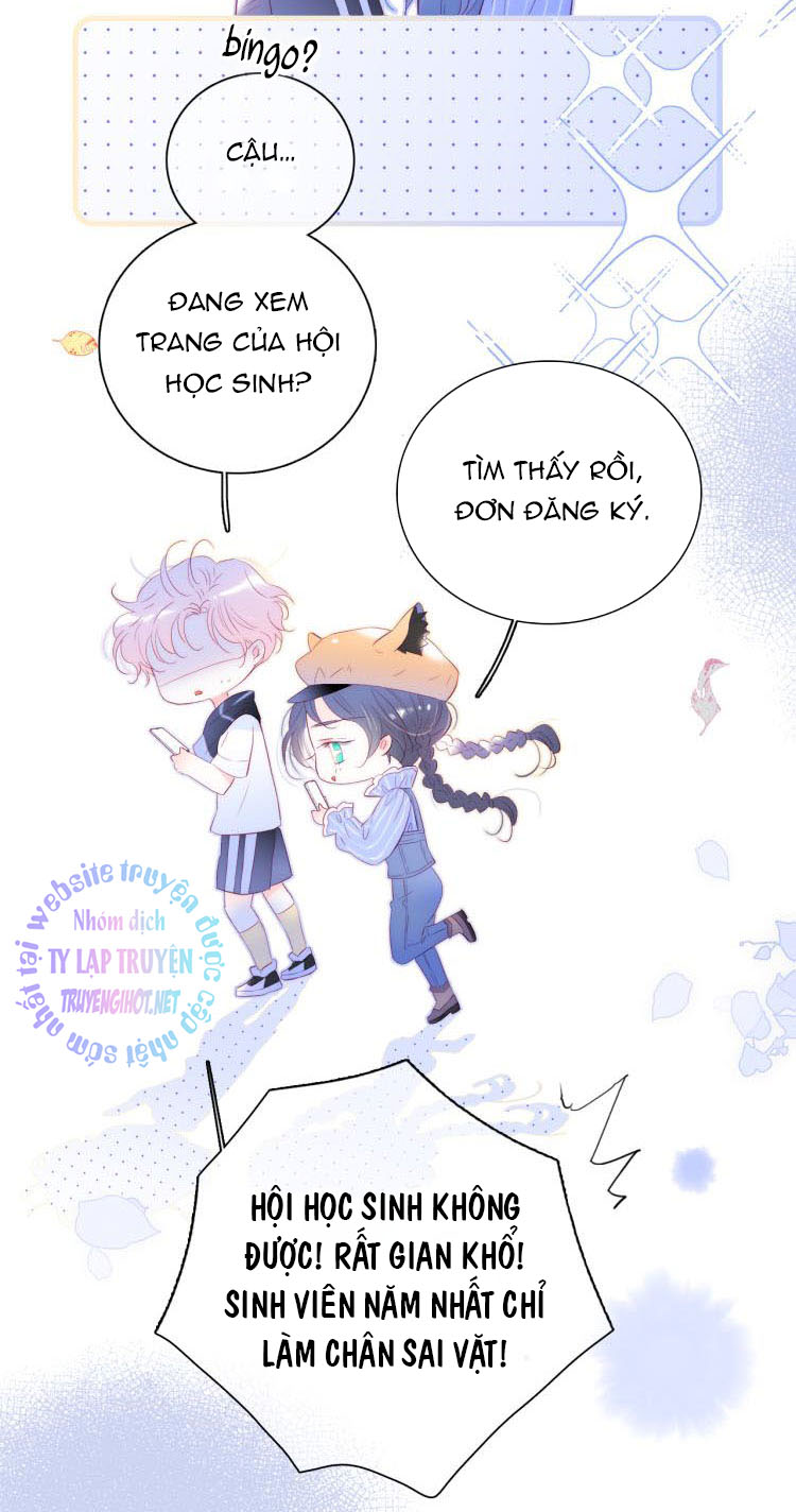 hoa và nhím cùng bỏ trốn chapter 33 31