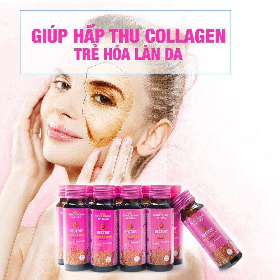 Trắng da, trẻ hóa với 10 chai x 50ml Nước Uống Đông trùng hạ thảo Hector Collagen