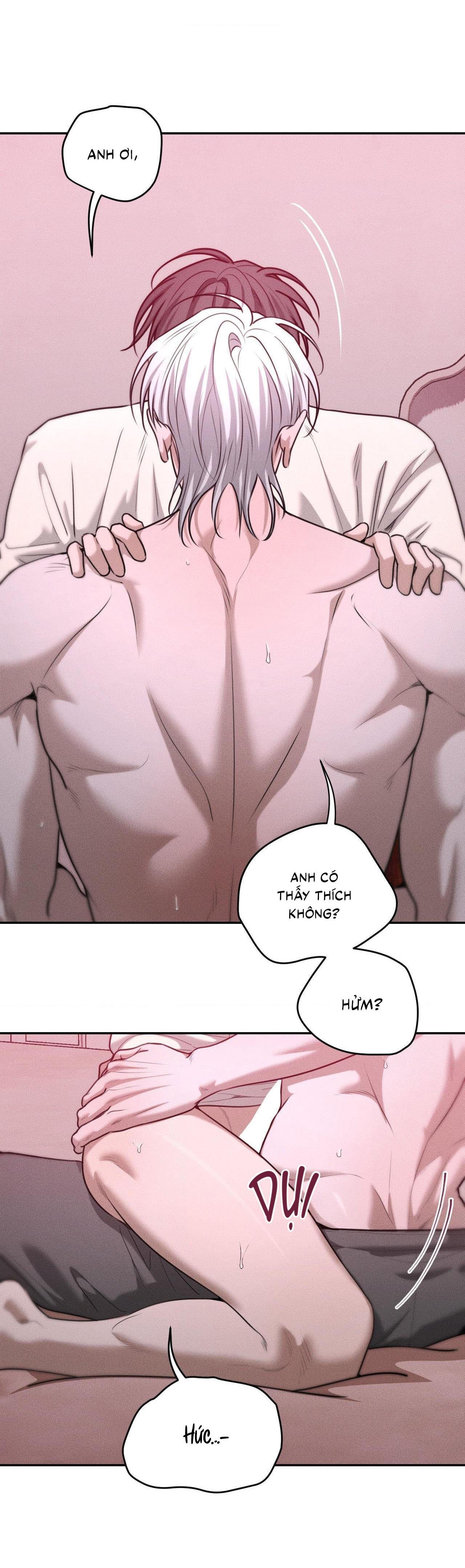 gấu teddy thân yêu chapter 36 22