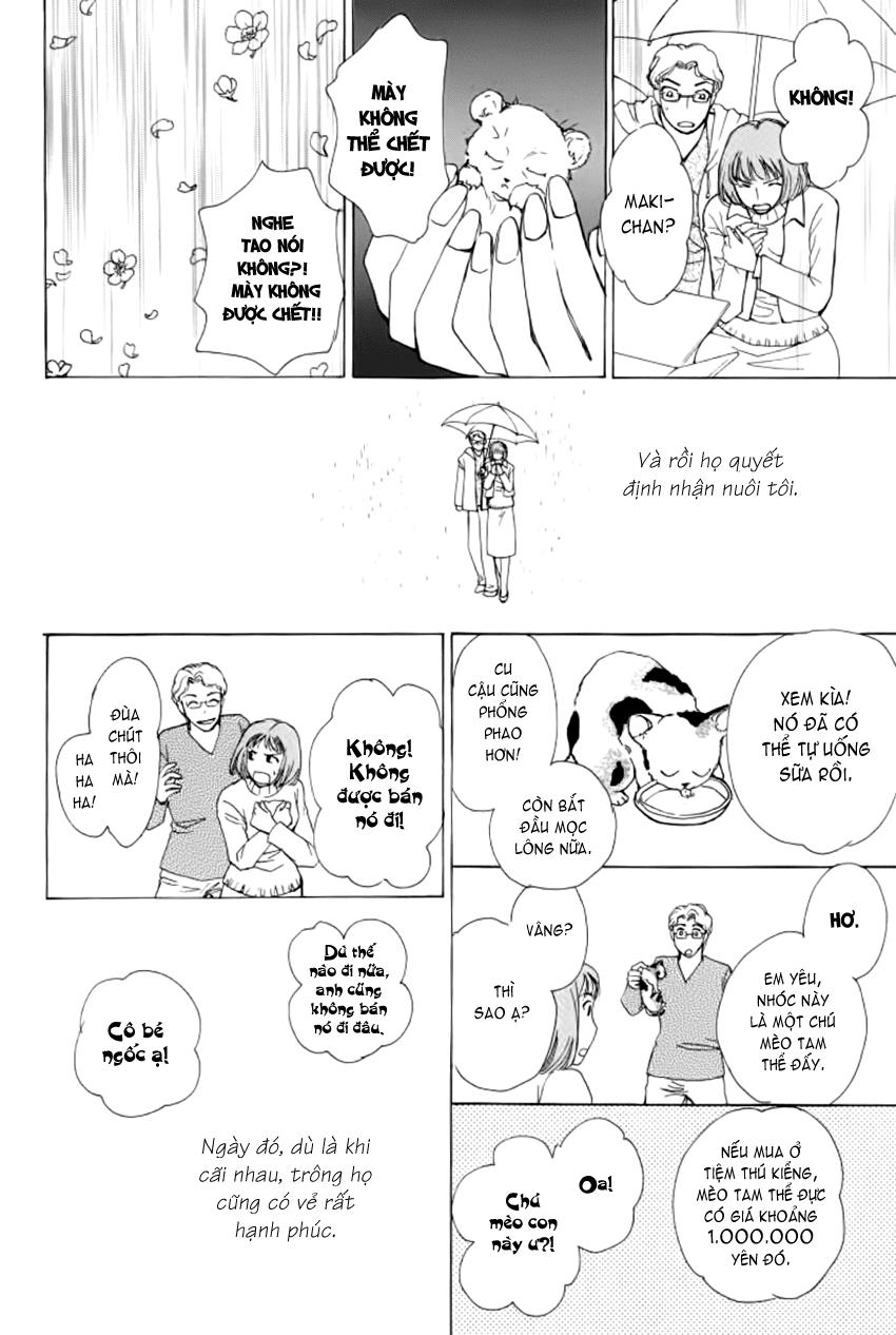 new pet shop of horror chapter 12 22