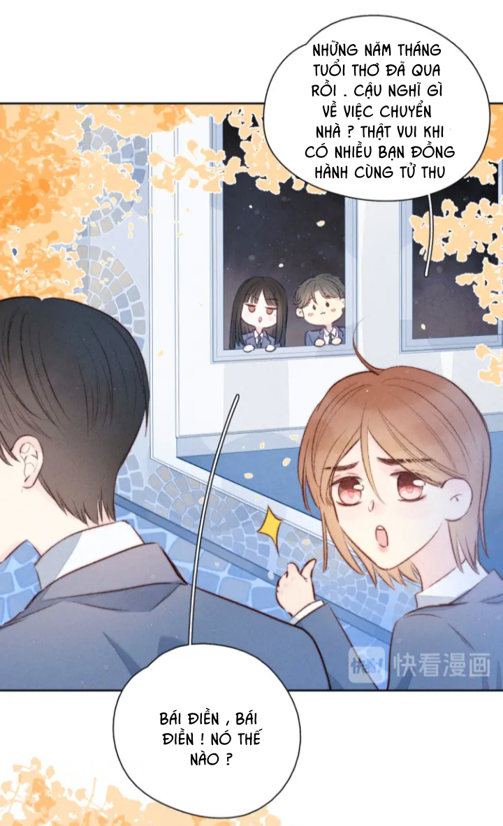 nỗi buồn của hoa cẩm tú cầu chapter 42 20