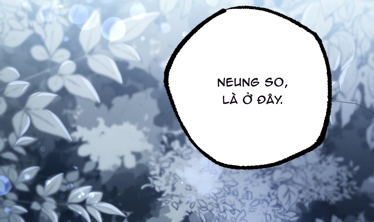 đàn thỏ của habibi chapter 37 62