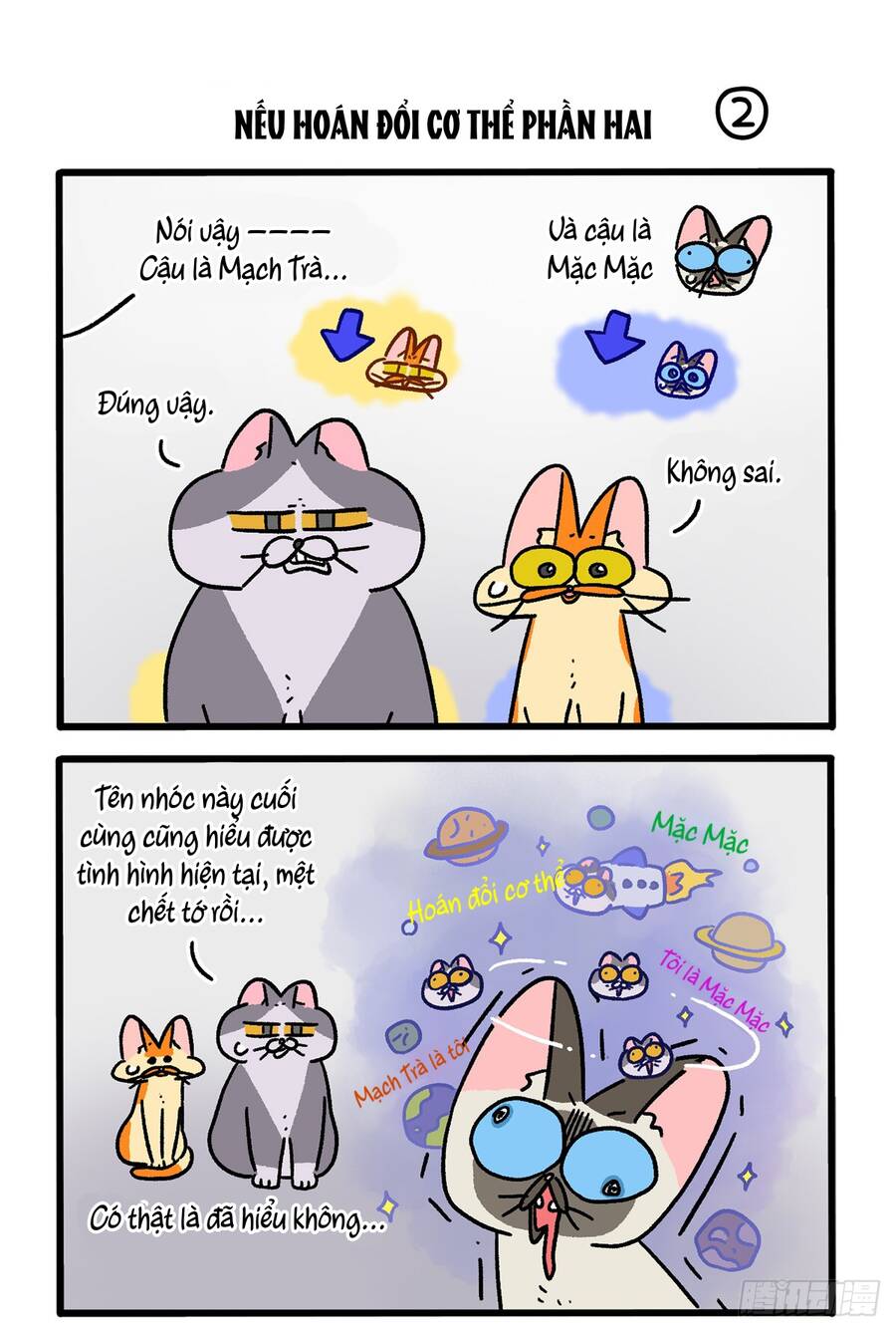 a mãn và mạch trà chapter 151 3