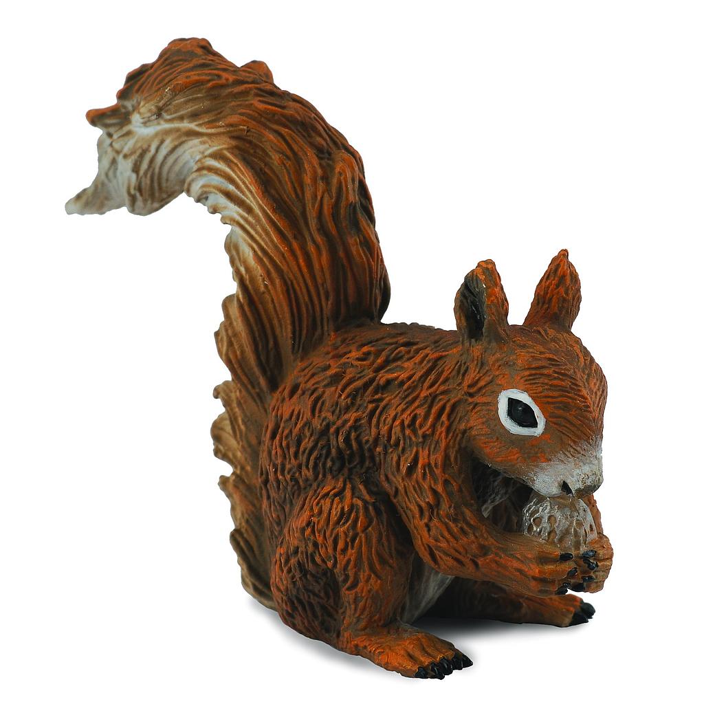Mô hình thu nhỏ: Sóc - Red Squirrel - Eating, hiệu: CollectA, mã HS 9651330 - Chất liệu an toàn cho trẻ - Hàng chính hãng