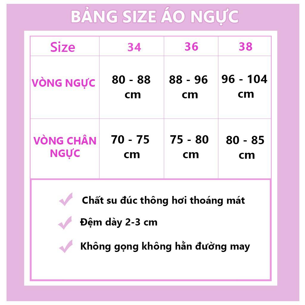 Áo lót nữ đúc su thông hơi, áo ngực không gọng cao cấp túi Zip - AL06