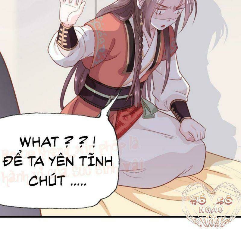 đứng yên ! phụng chỉ đánh cướp đây chapter 0 4