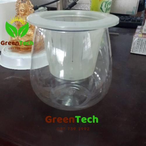 Chậu Nhựa Trồng Cây Thủy Sinh - Chậu Giả Thủy Tinh Trồng Thủy Sinh