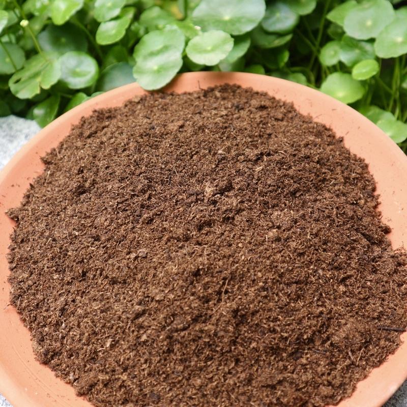 Peatmoss - Peatman túi 600gr | Rêu than bùn dùng ươm cây, hỗ trợ trồng cây