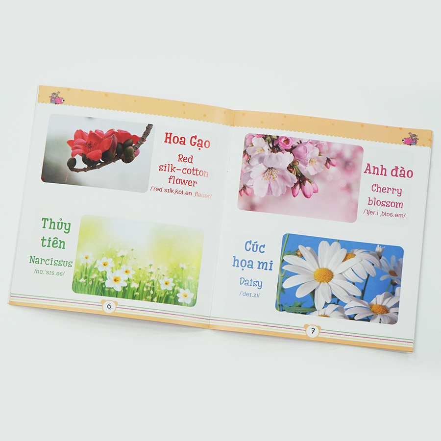 Combo 2 : Từ điển bằng tranh dành cho trẻ em