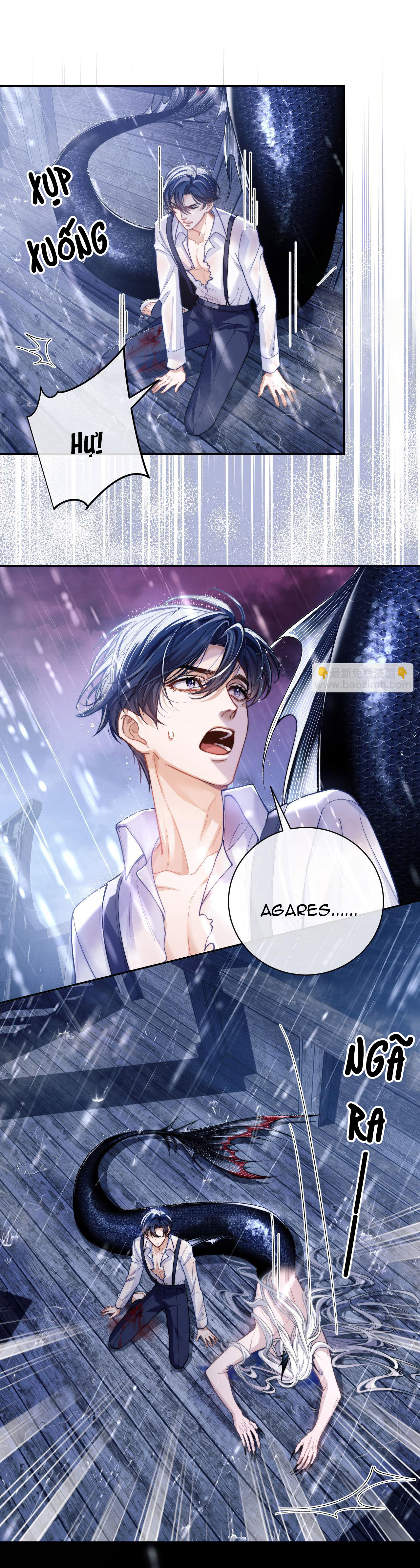 nhân ngư dessaro chapter 8 2