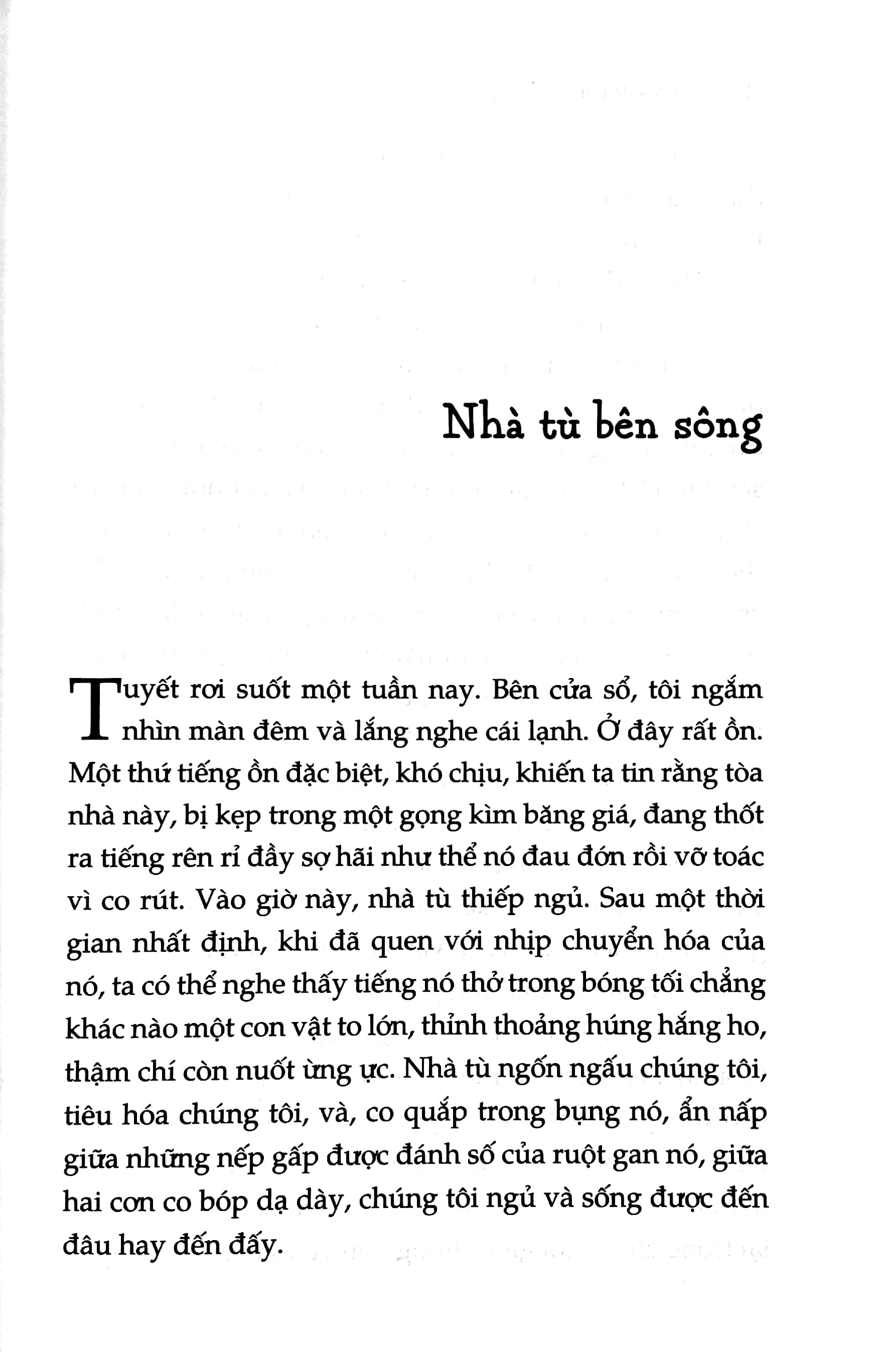 Không Ai Sống Giống Ai Trong Cuộc Đời Này