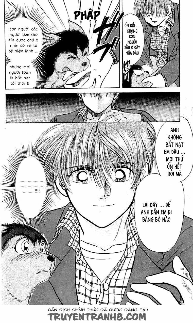 wild half chapter 6 6