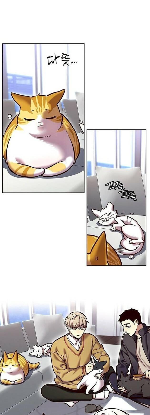 biến thân thành mèo chapter 229 19