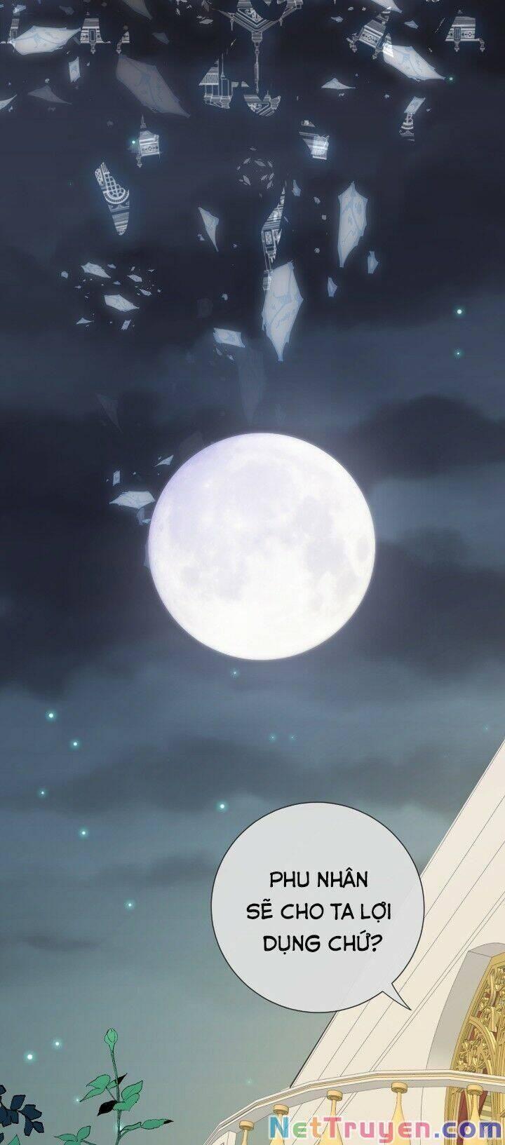 xin ngài đừng ăn tôi chapter 34 36