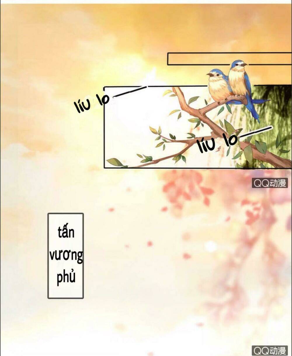 sủng phi của vương chapter 22 2